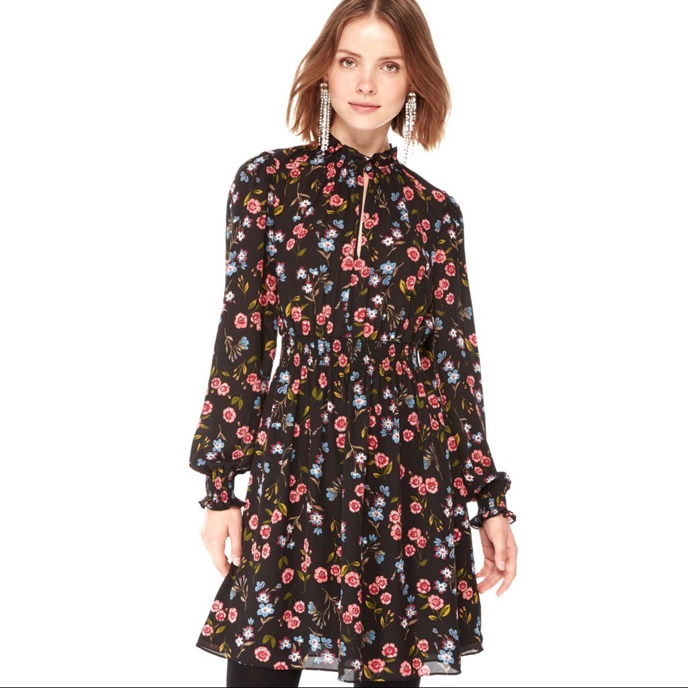 Kate Spade Meadow Smock Waist Dress XS